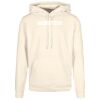 Basic hoodie Thumbnail