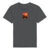 Rocker the essential unisex t-shirt (STTU758) Thumbnail